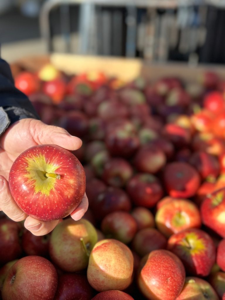Apple growers no longer at mercy of supermarkets with China agreement