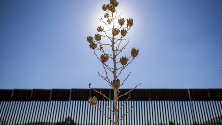 The Impact of Trump’s First 100 Days on Full Display in New Mexico