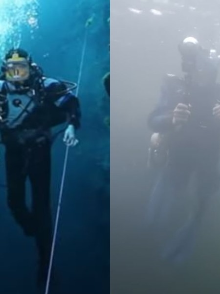 Calls for ‘tough decisions’ as drought threatens famously clear SA dive spots