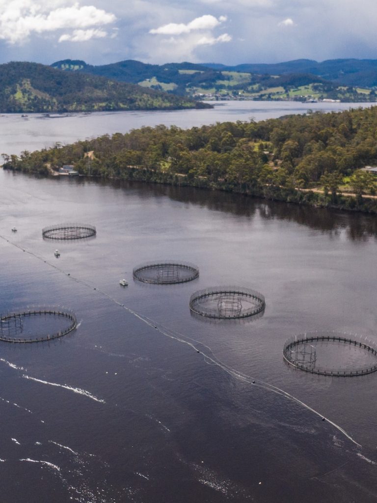 Tasmania’s salmon mass mortality event is over, EPA says