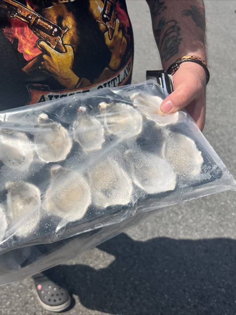 Millions of SA oysters quarantined after algae-linked toxin discovery