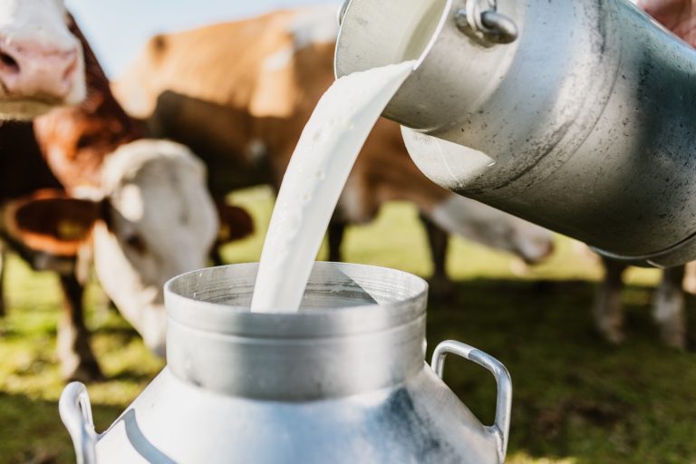 Baladna taps high protein dairy, Algerian collaboration for growth after Malaysia venture falls through