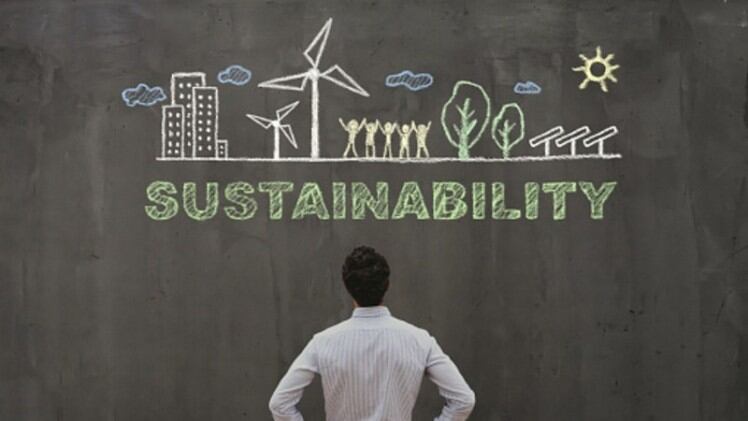 Sustainability Snippets: Packaging recyclability, palm oil potential losses, upcycled beer and more