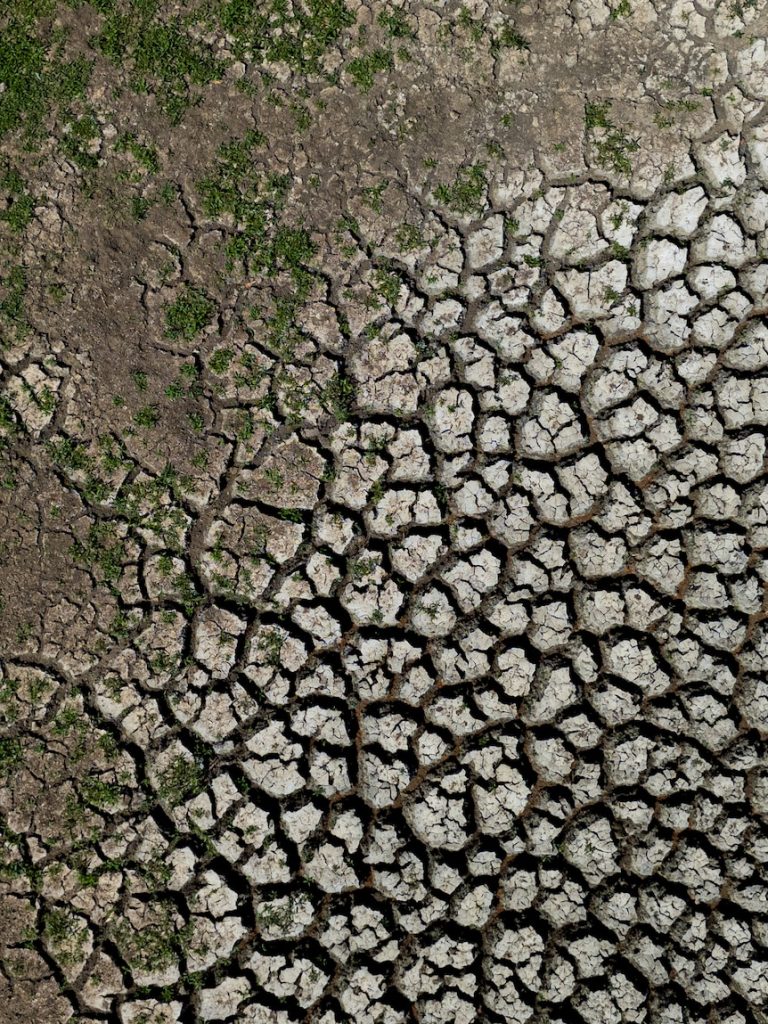 Farmers have battled floods, frost and drought — and now US tariffs