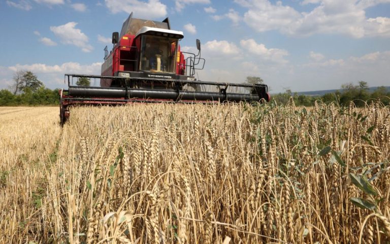Media: EU plans to increase tariffs on food from Ukraine