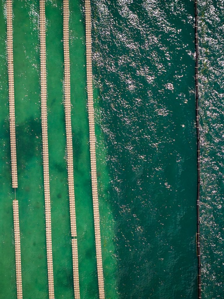 Oyster farm survives cyclone with help from innovative wave wall