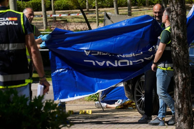 Ukrainian power broker shot dead in Spain