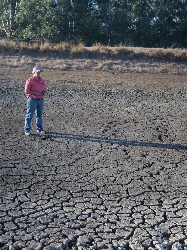 Dams empty, farmers sell livestock as southern NSW dries out