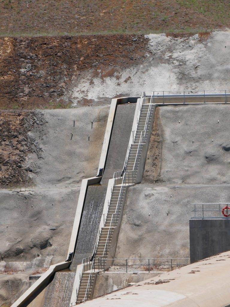 Endangered turtles use $4m ‘slippery slides’ to cross river wall