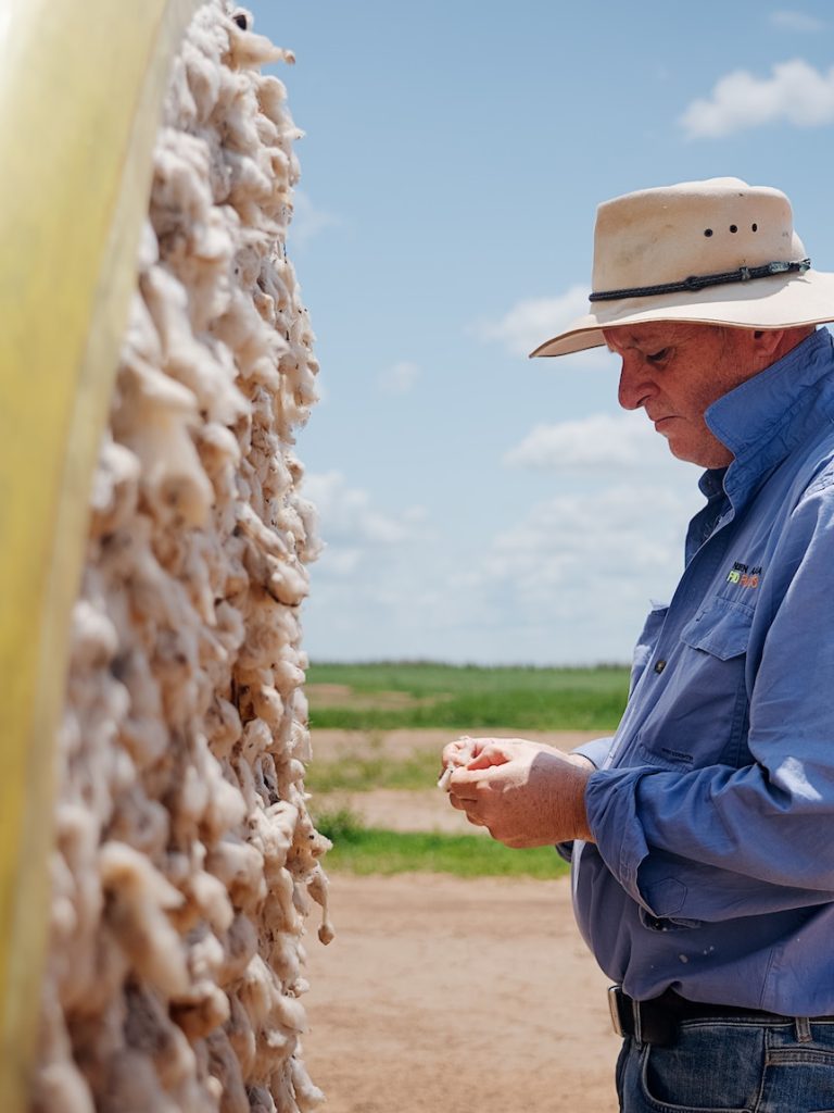 Conflict of interest allegation hovers over WA cotton venture