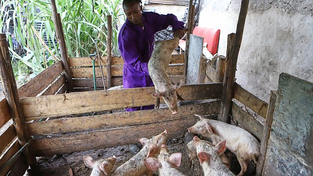 They once lived the ‘gangster life.’ Now they tackle food insecurity in Kenya’s slums
