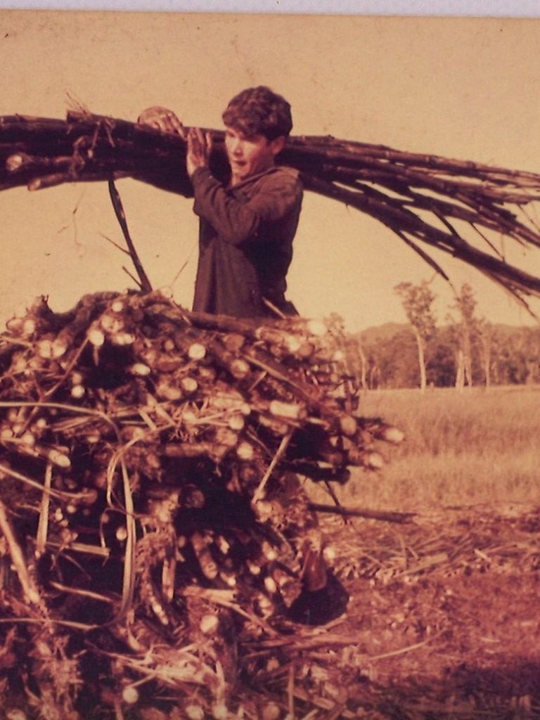 After a sour start to 2025, Tully celebrates 100 years of sweet success