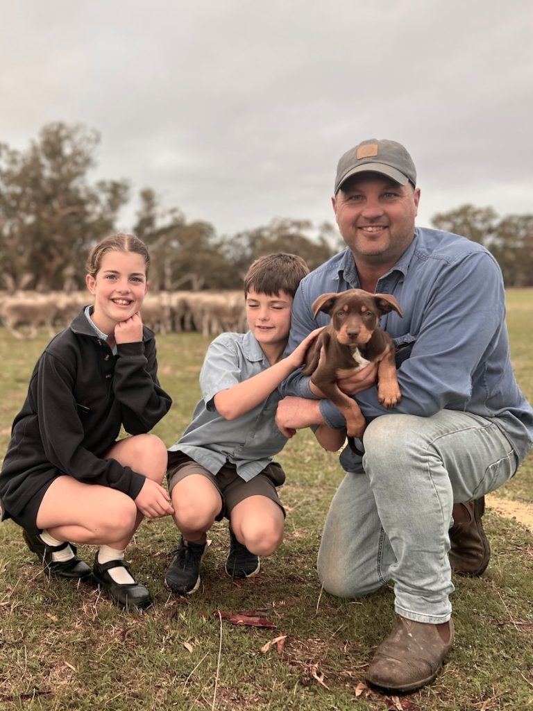 Farmers call on ‘city cousins’ to buy red meat amid SA drought
