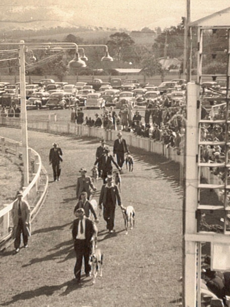 Dapto Dogs to stop running after 88 years as showground ends lease
