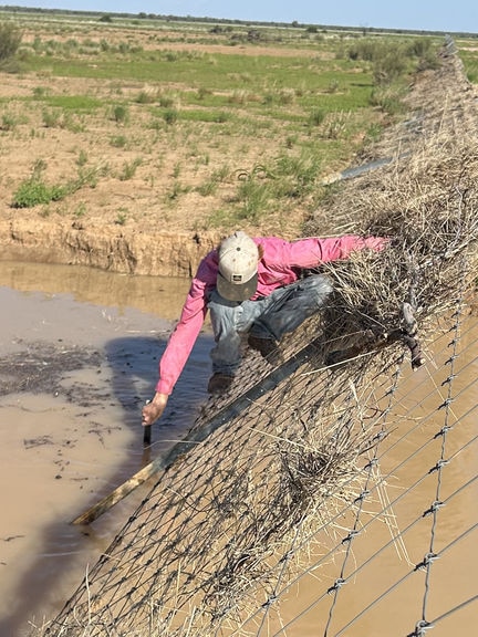‘Great Australian fence hunt’ underway as western Queensland rebuilds