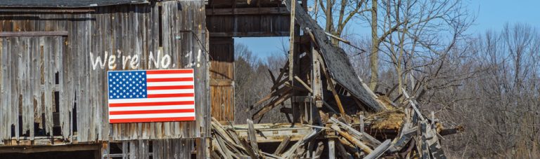 Born in the U.S.A., or Not