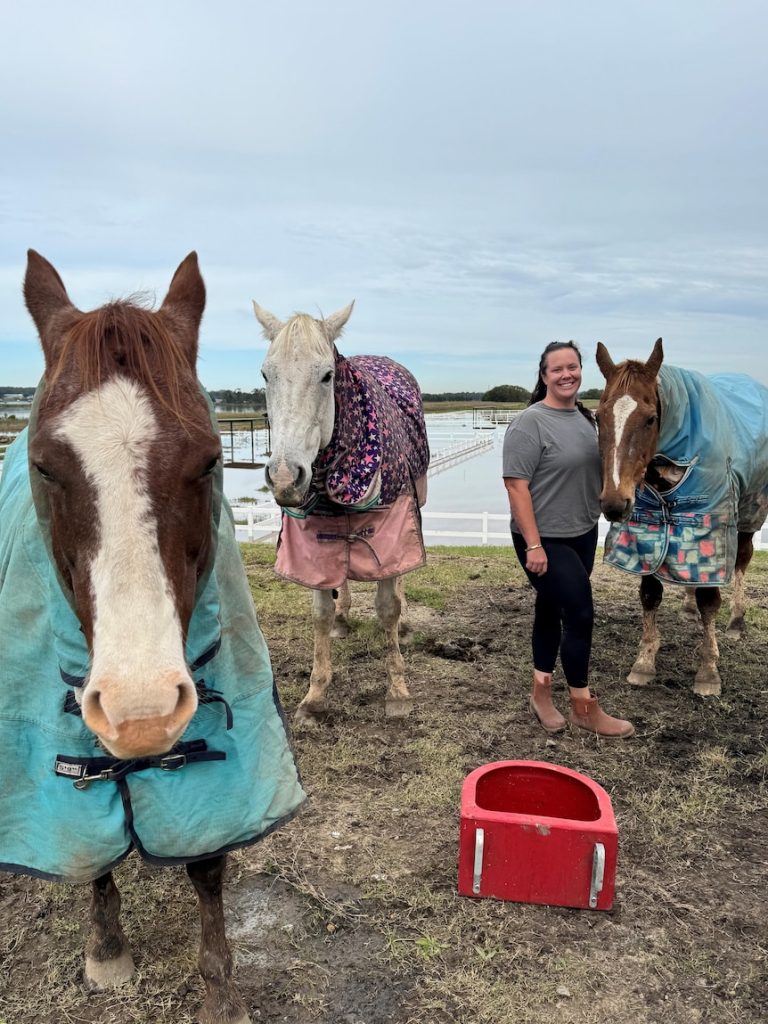 Owners go to remarkable lengths to save horses from floodwater