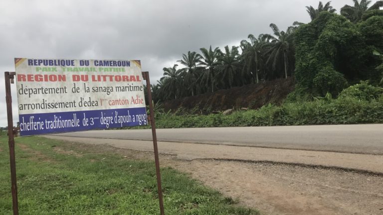 Land dispute escalates between palm oil company and Cameroon’s Apouh community