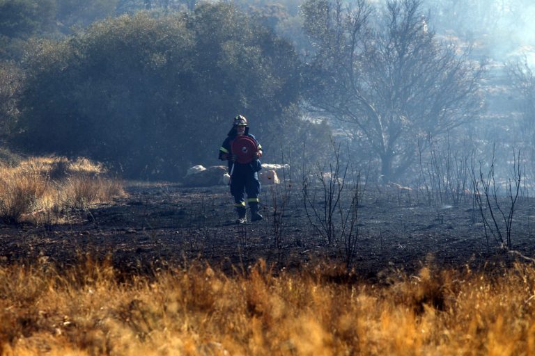 The EU organizes firefighting teams and a fleet of aircraft to support countries such as Greece