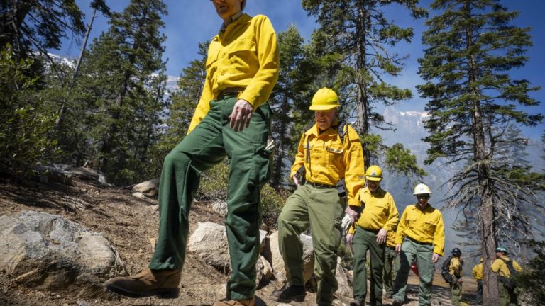 As Trump Comes After Research, Forest Service Scientists Keep Working