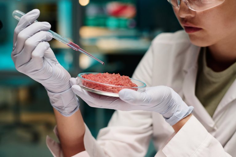 Hybrid push: Korean food tech firm targets halal growth across B2B and B2C markets