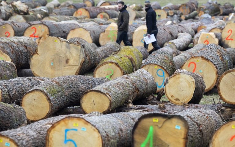 Austria and Luxembourg for simpler EU deforestation regulation