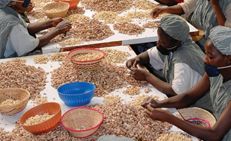 Africa: Côte d’Ivoire Launches West Africa’s First Agricultural Commodities Exchange