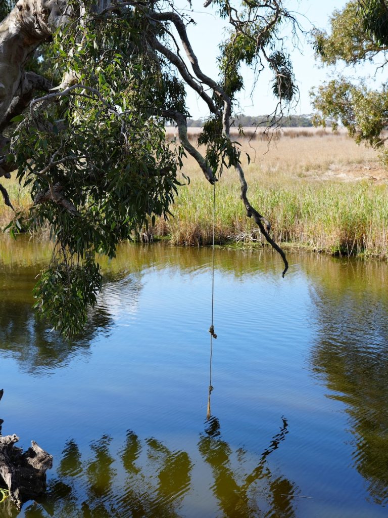 Farmers restore nature to help river smashed by agriculture and drought