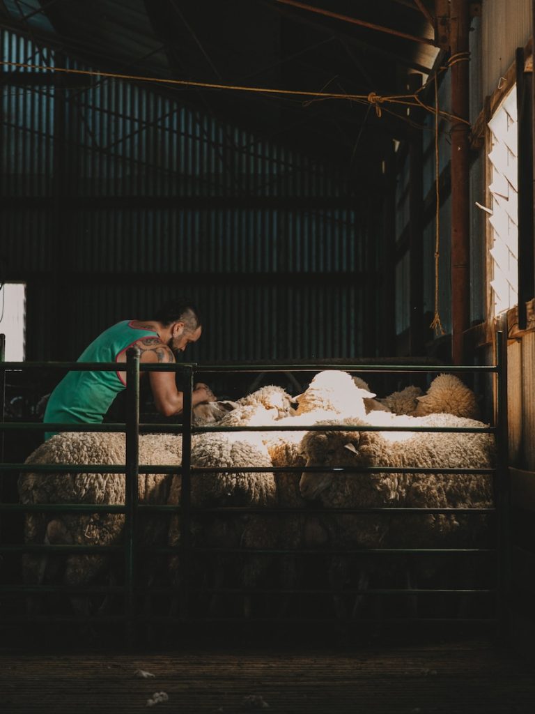 Photos of rural life go global for WA farmhand