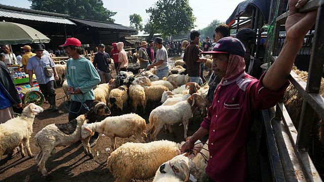 Sheep markets struggle in Niger ahead of Eid al-Adha amid insecurity and economic strain