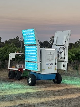 Robots roll out as grape growers struggle with disease, rising costs