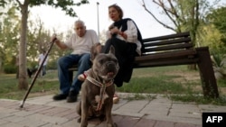 Iran Widens Dog Walking Ban, Targeting Pet Owners Across The Country