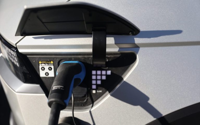 The Senate opposed the possible introduction of any subsidies for electric cars