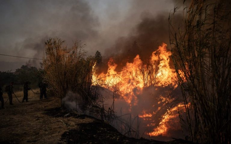 Wildfire Prevention: European Funds with Uncertain Impact, Regrets a Report