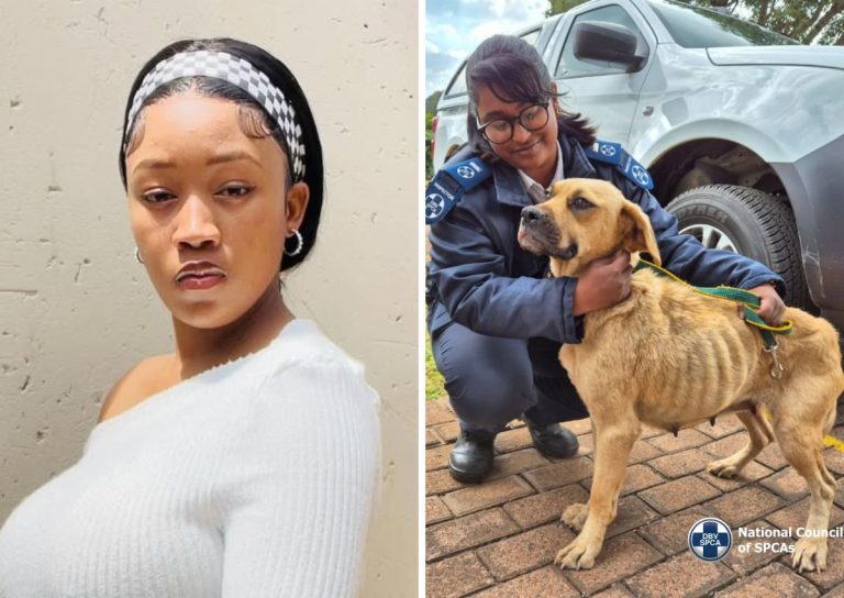 Influencer facing animal charges after mocking SPCA’s dog rescue