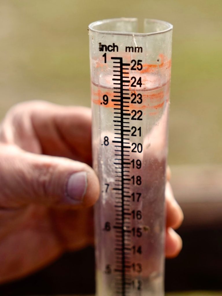 Rain a ‘celebration’ but not a drought-breaker for SA farmers