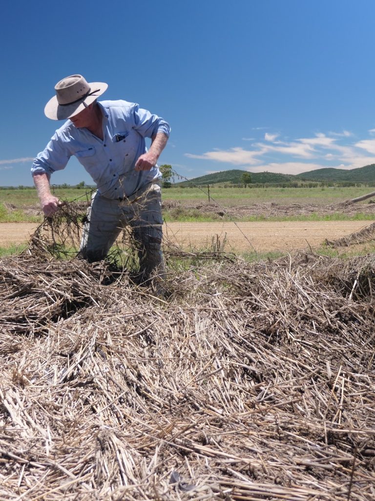 Fixing fences and buying local — you can help farmers doing it tough