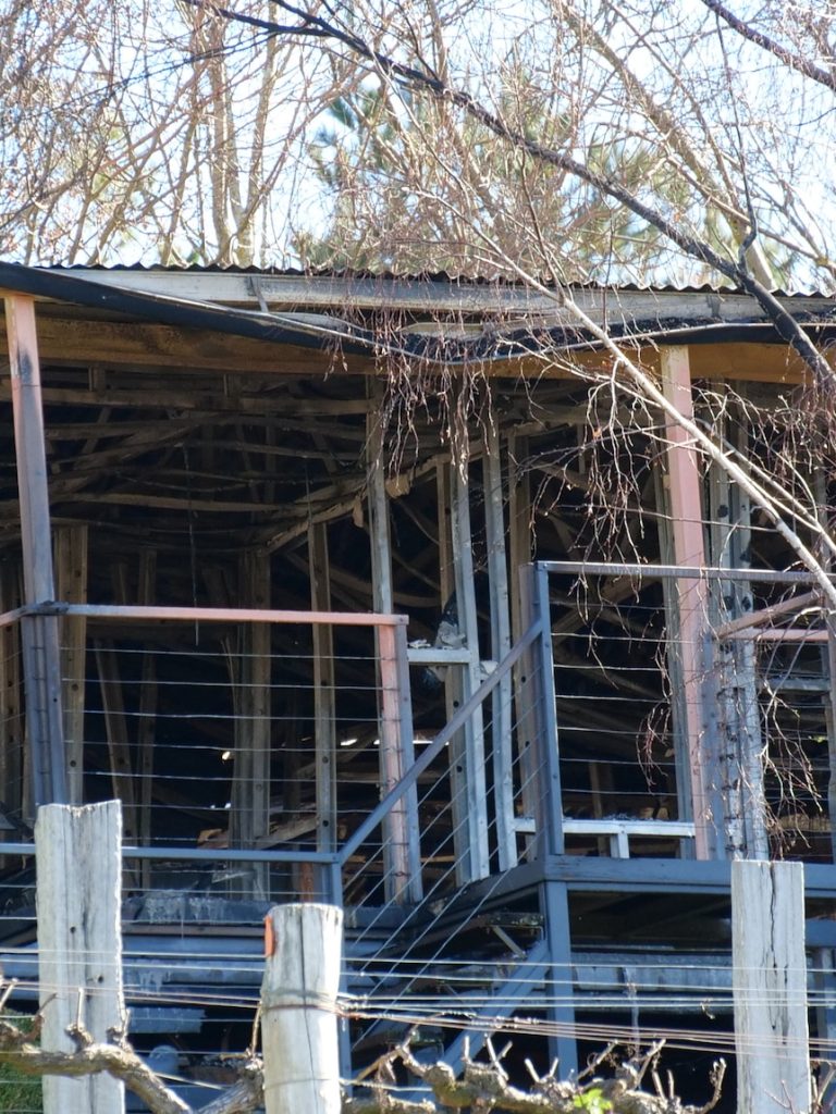 ‘Devastated’ winery owners pledge weddings will go ahead after fire