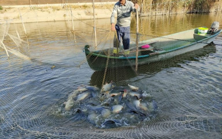 Romania modernizes the Midia port through the POPAM program, improving the activity of fishermen in the Black Sea area