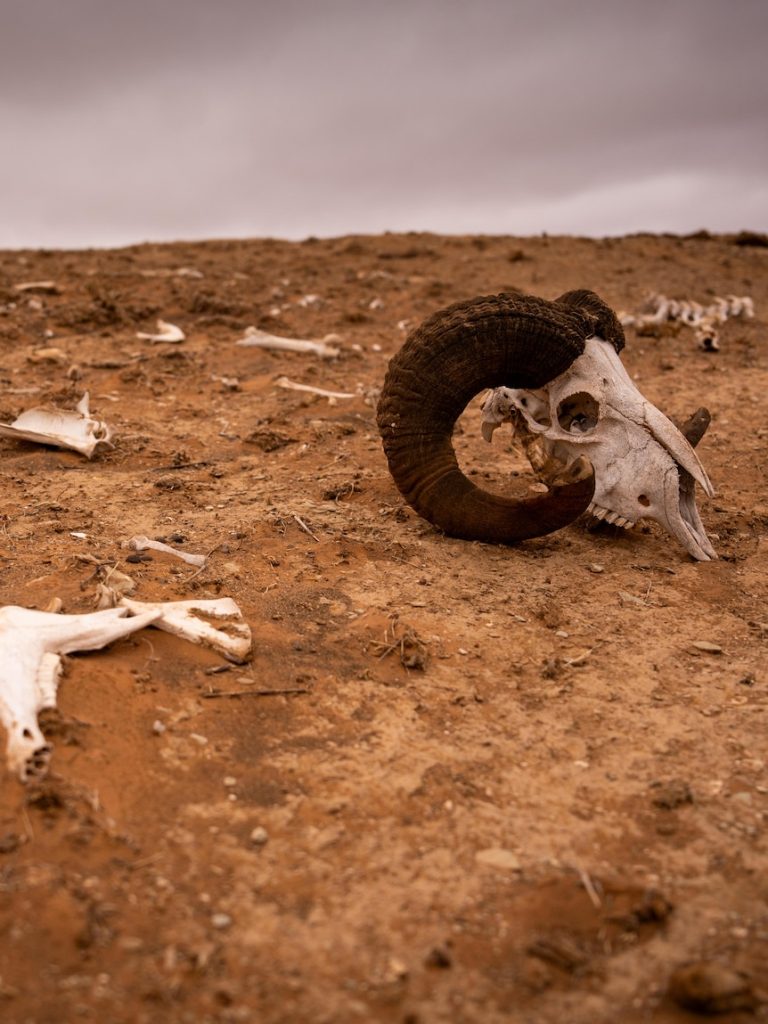 In one town, the impact of climate change is starkly felt by the next generation