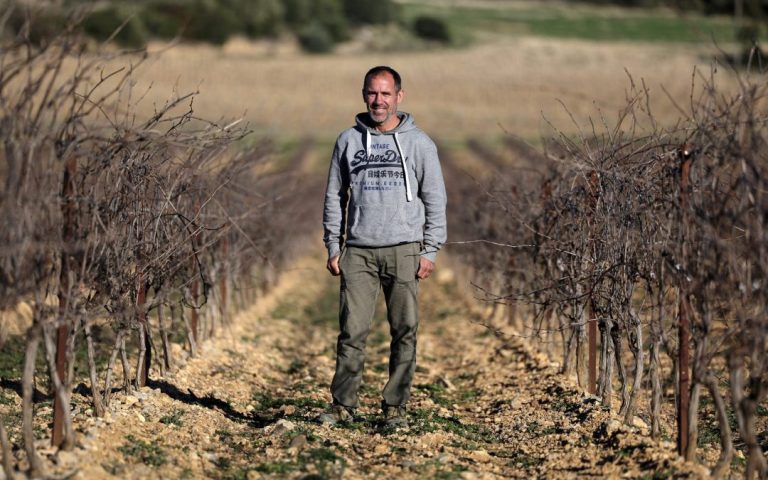 Viticulture: the Twenty-Seven approve the European plan and simplify labeling for export