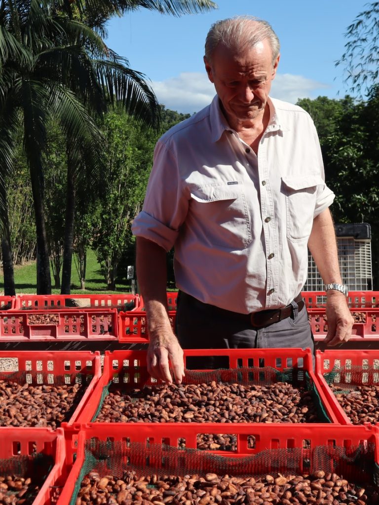 As chocolate prices surge, Aussie cocoa growers are in the sweet spot