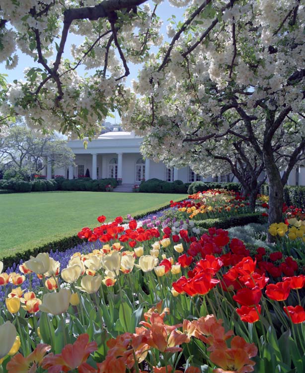 No More Rose Garden and Other Travesties