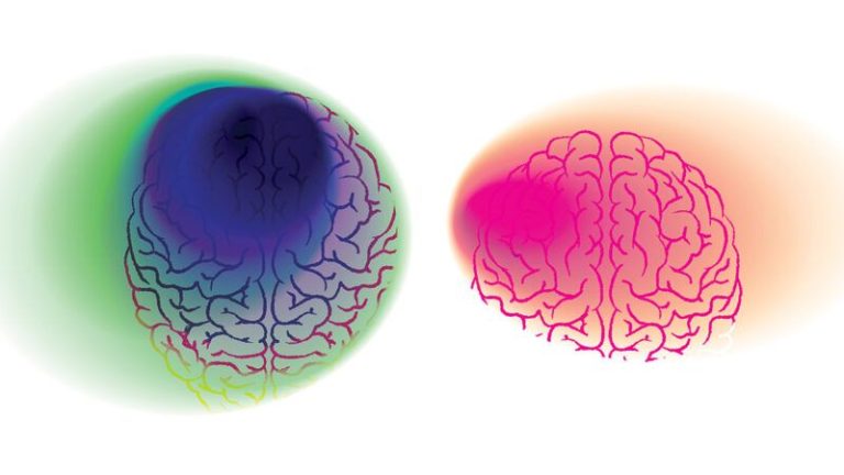 Does Drug Use Lead to Addiction, or Are Some Brains More Prone To Use Drugs?
