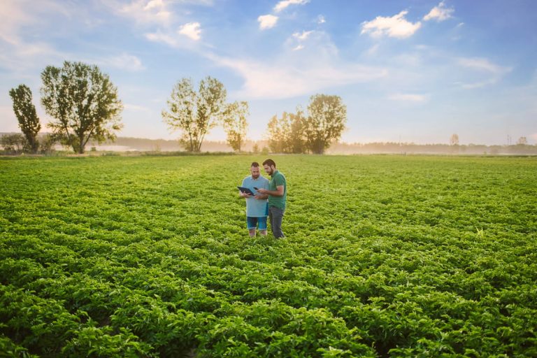 How CAP reform can secure Europe’s food future and set a global standard 