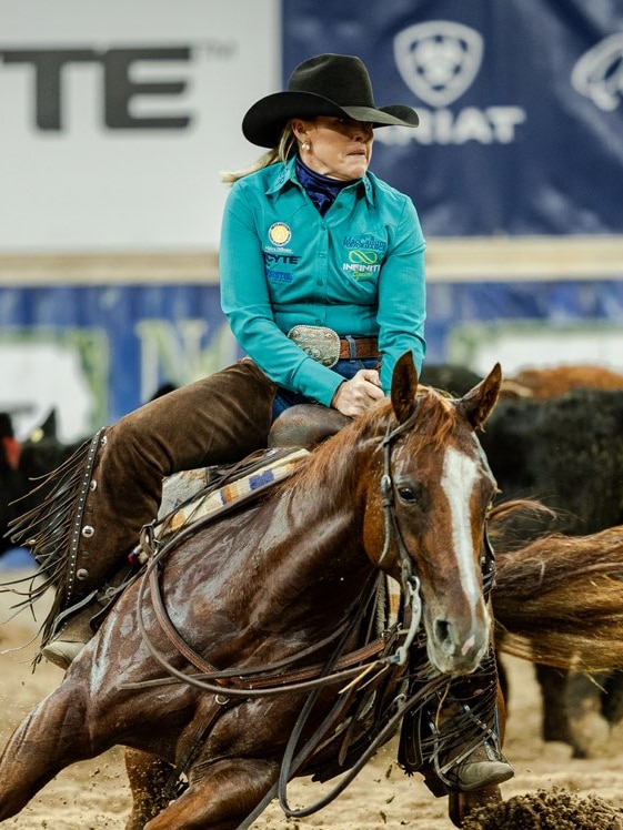 Performance horse’s $2.65m sale potentially ‘life changing’ for Australian breeders