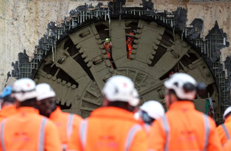 UK government fumes at ‘ludicrous’ £125M ‘bat tunnel’
