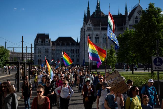 Hungary warns its EU partners not to attend ‘banned’ pride parade