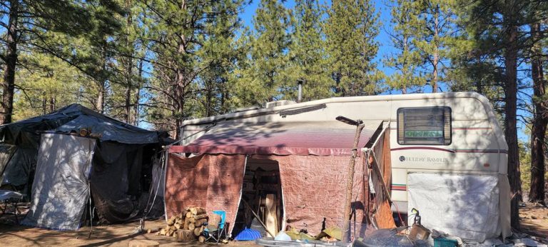 Unhoused and Then Displaced, Like Me