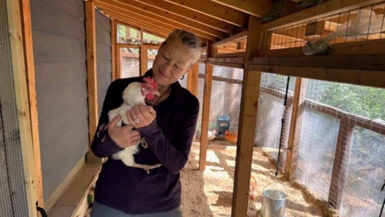 She Got a Permit for Her Chickens. Now the City Is Fining Her $80,000.